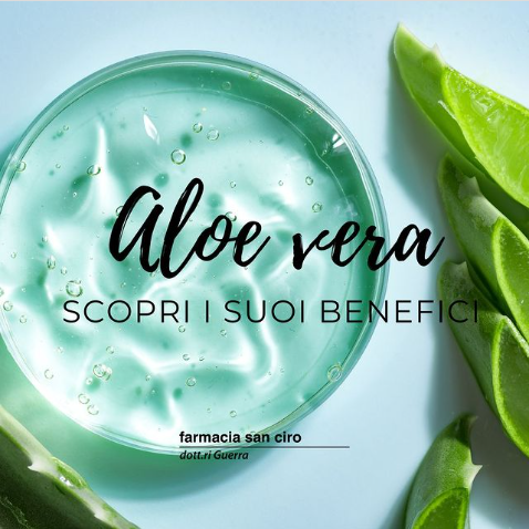 Aloe vera e i suoi benefici