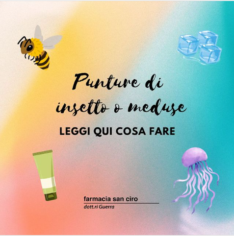 Punture di insetto e meduse: consigli utili